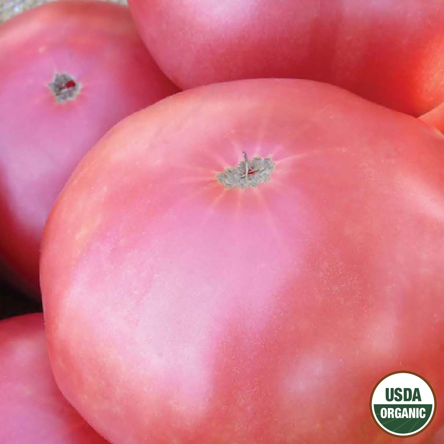 Close-up of a pink Brandywine tomato with the USDA Organic seal.